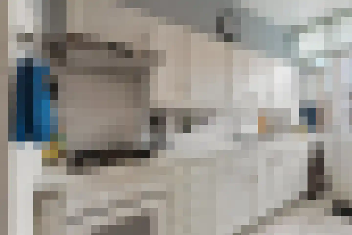 Laan van Meerdervoort 1378 Den Haag thumbnail 28