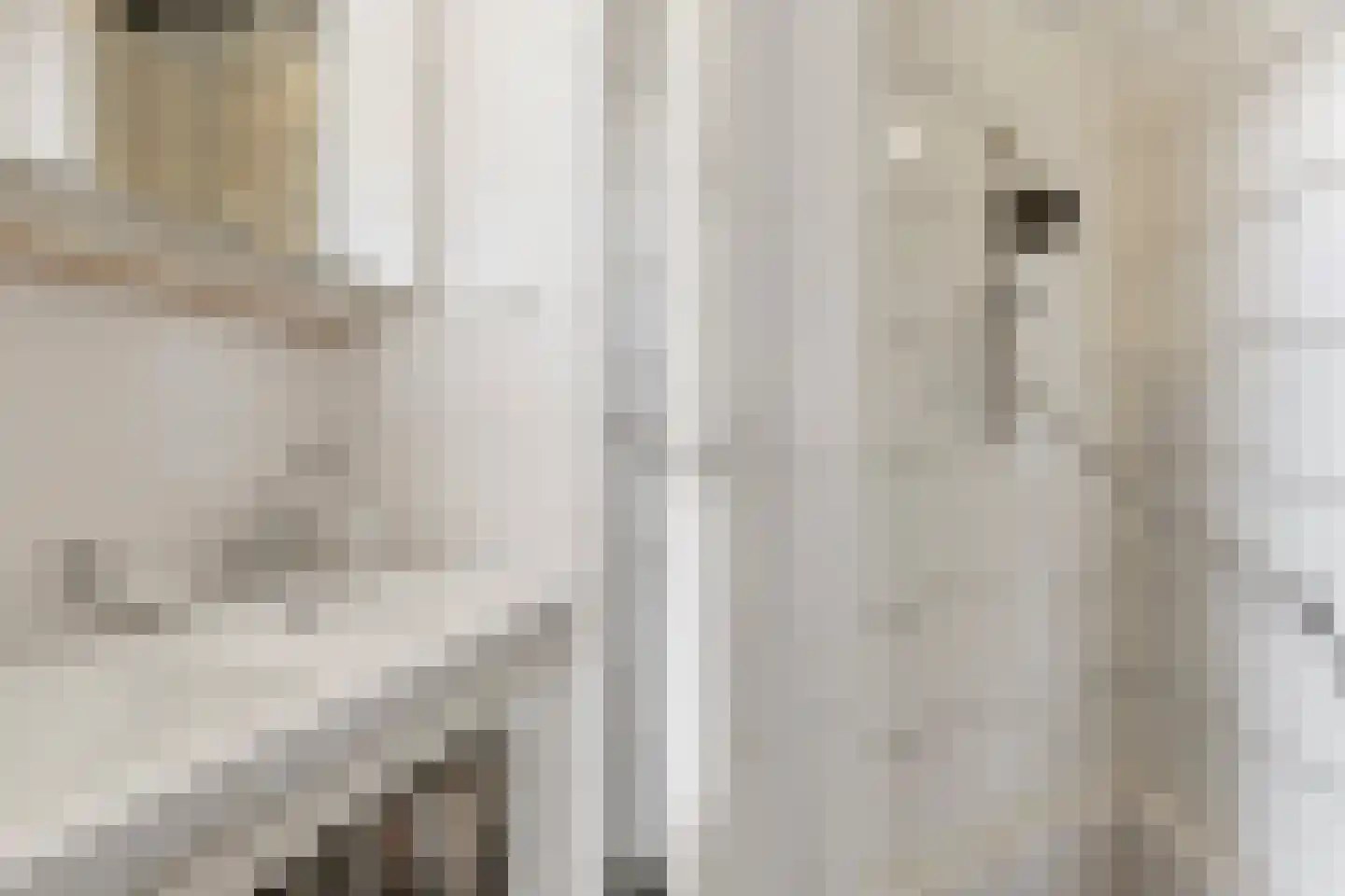 Laan van Meerdervoort 1378 Den Haag thumbnail 34