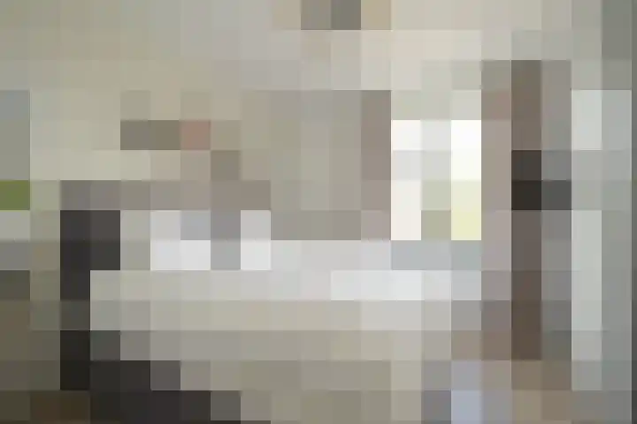 Laan van Meerdervoort 1407 Den Haag thumbnail 13