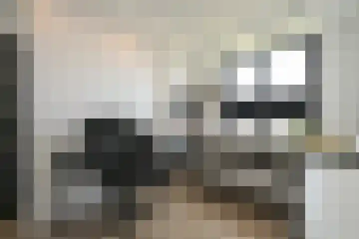 Laan van Meerdervoort 1407 Den Haag thumbnail 16