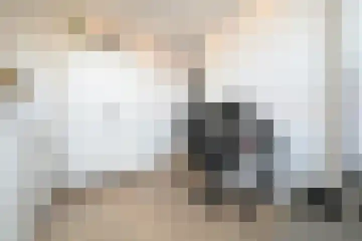 Laan van Meerdervoort 1407 Den Haag thumbnail 17