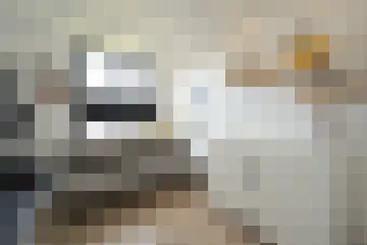 Laan van Meerdervoort 1407 Den Haag thumbnail 18