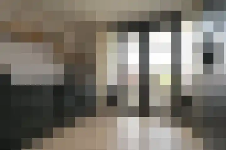 Laan van Meerdervoort 1407 Den Haag thumbnail 20