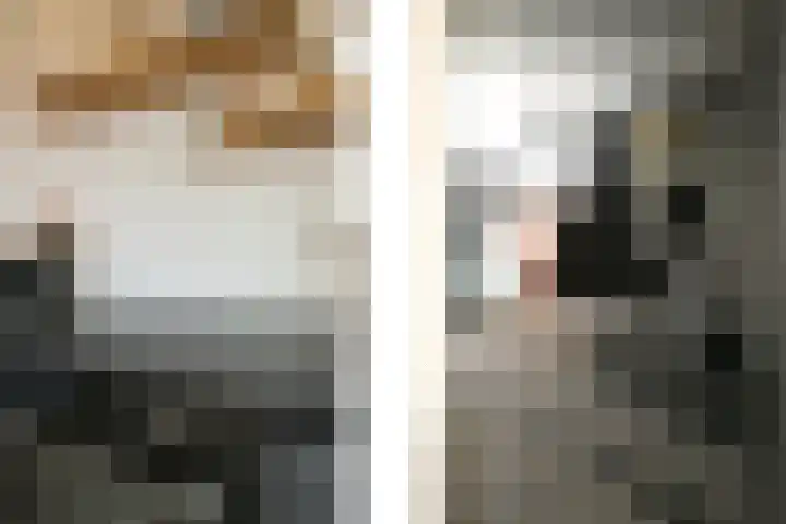 Laan van Meerdervoort 1407 Den Haag thumbnail 23
