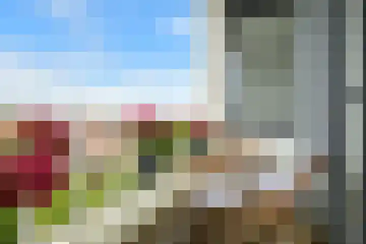 Laan van Meerdervoort 1407 Den Haag thumbnail 25