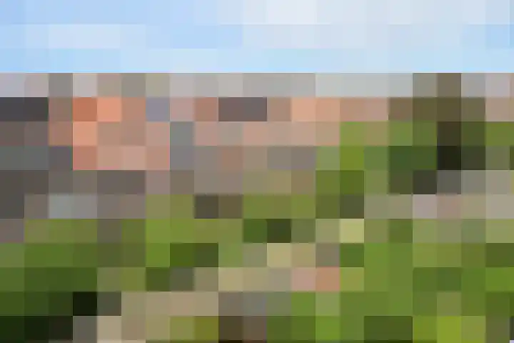 Laan van Meerdervoort 1407 Den Haag thumbnail 27