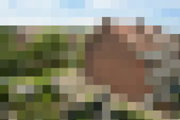 Laan van Meerdervoort 1407 Den Haag thumbnail 28