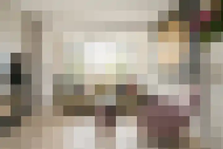Laan van Meerdervoort 1407 Den Haag thumbnail 32