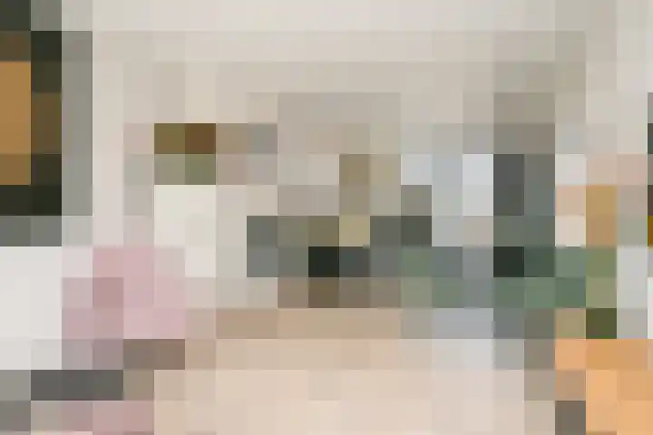 Laan van Meerdervoort 1407 Den Haag thumbnail 33