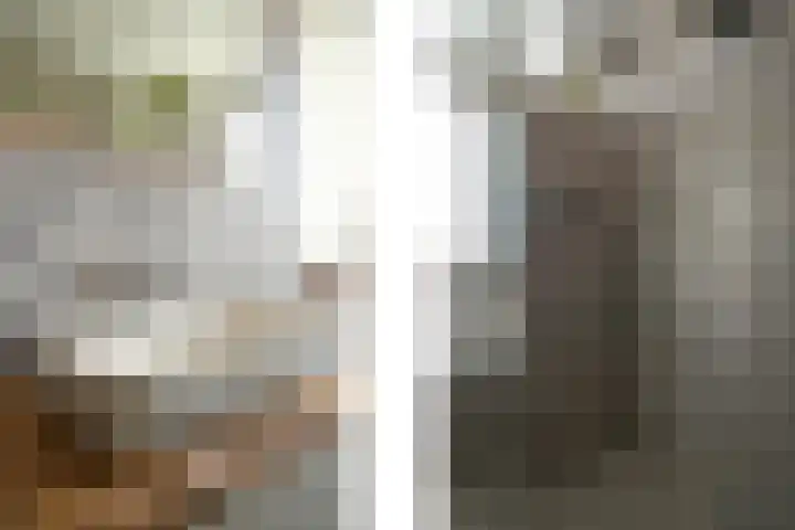 Laan van Meerdervoort 1407 Den Haag thumbnail 38