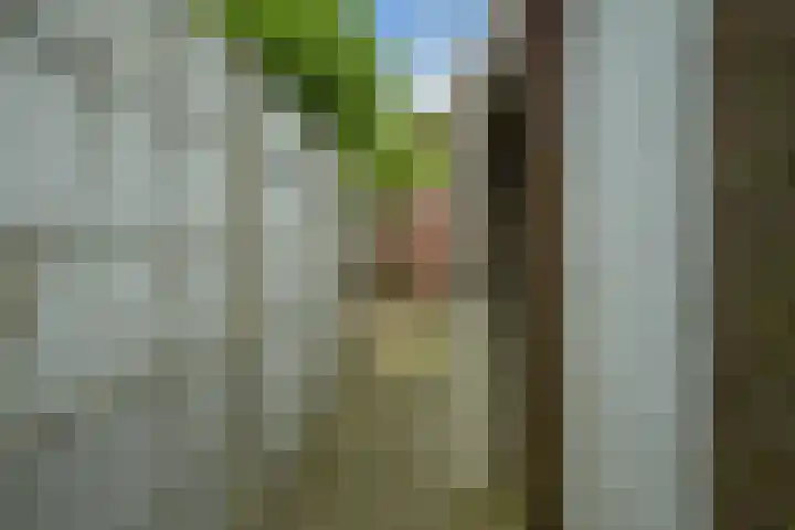 Laan van Meerdervoort 1407 Den Haag thumbnail 41