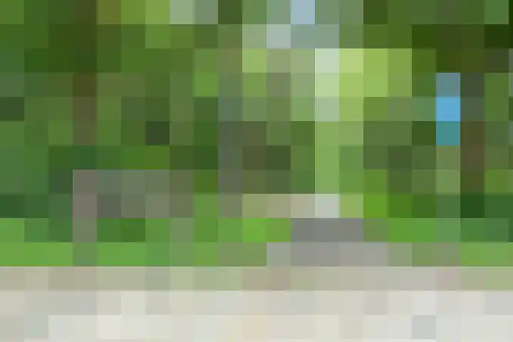 Laan van Meerdervoort 1407 Den Haag thumbnail 43