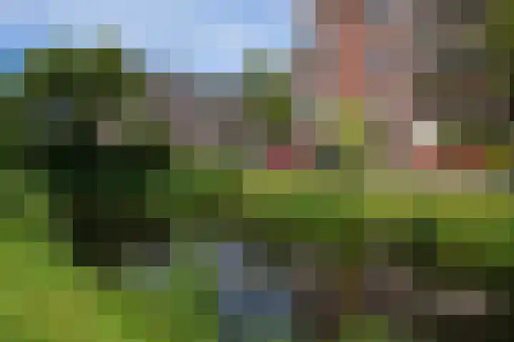 Laan van Meerdervoort 1407 Den Haag thumbnail 45