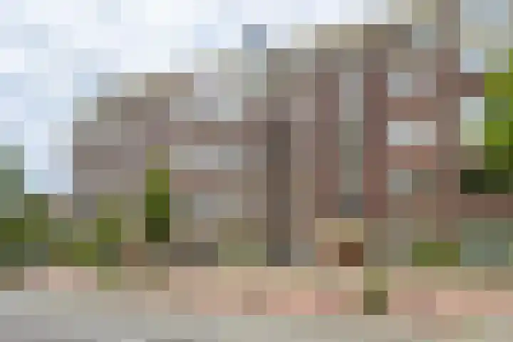 Laan van Meerdervoort 1407 Den Haag thumbnail 6