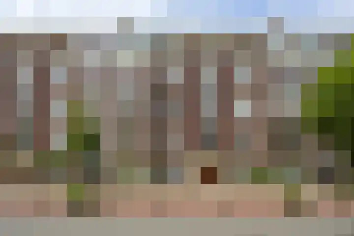 Laan van Meerdervoort 1407 Den Haag thumbnail 7