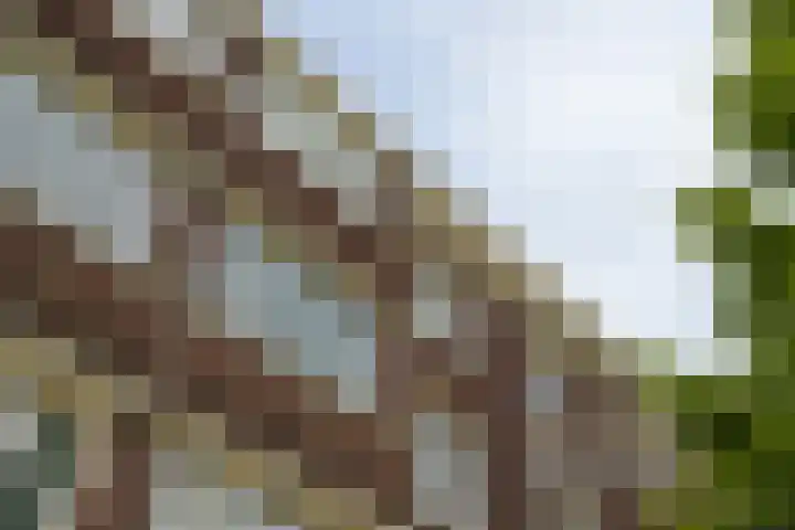 Laan van Meerdervoort 1407 Den Haag thumbnail 8