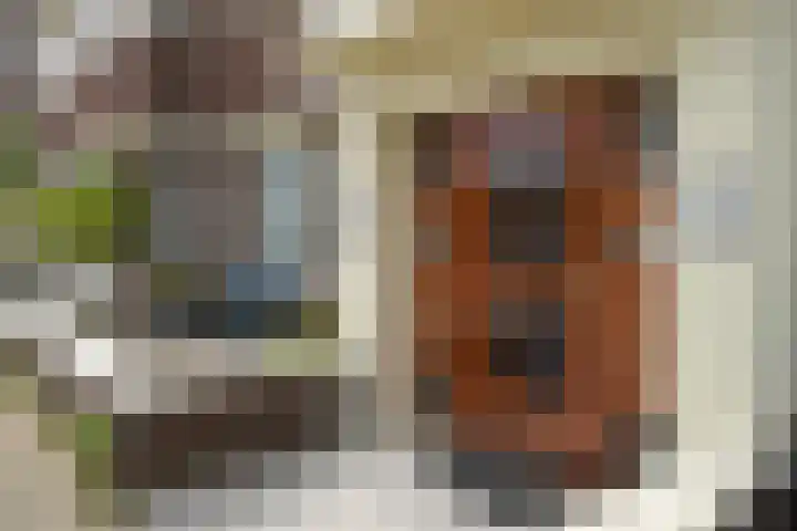 Laan van Meerdervoort 1407 Den Haag thumbnail 9