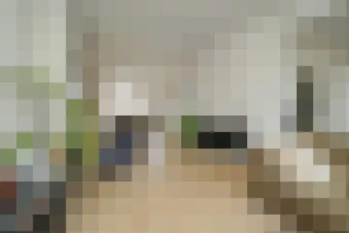 Laan van Meerdervoort 1414 Den Haag thumbnail 11