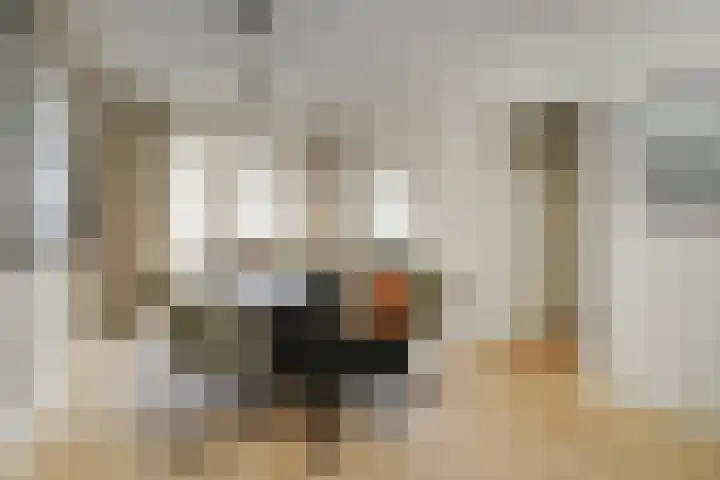 Laan van Meerdervoort 1414 Den Haag thumbnail 12