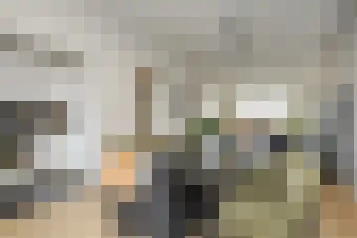 Laan van Meerdervoort 1414 Den Haag thumbnail 13
