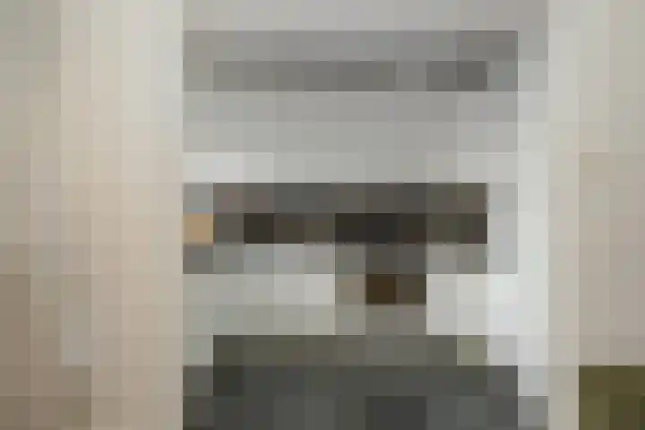 Laan van Meerdervoort 1414 Den Haag thumbnail 14
