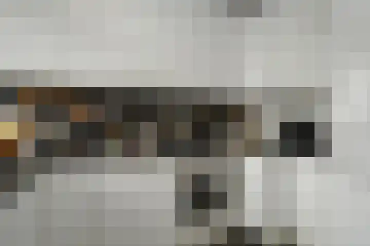 Laan van Meerdervoort 1414 Den Haag thumbnail 15