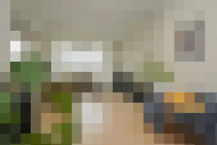 Laan van Meerdervoort 1414 Den Haag thumbnail 16
