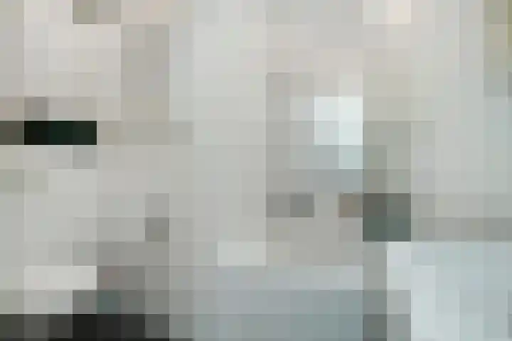 Laan van Meerdervoort 1414 Den Haag thumbnail 22