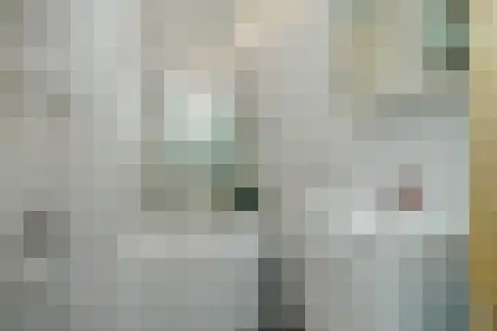 Laan van Meerdervoort 1414 Den Haag thumbnail 23