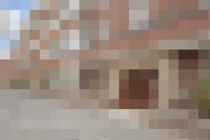 Laan van Meerdervoort 1414 Den Haag thumbnail 26