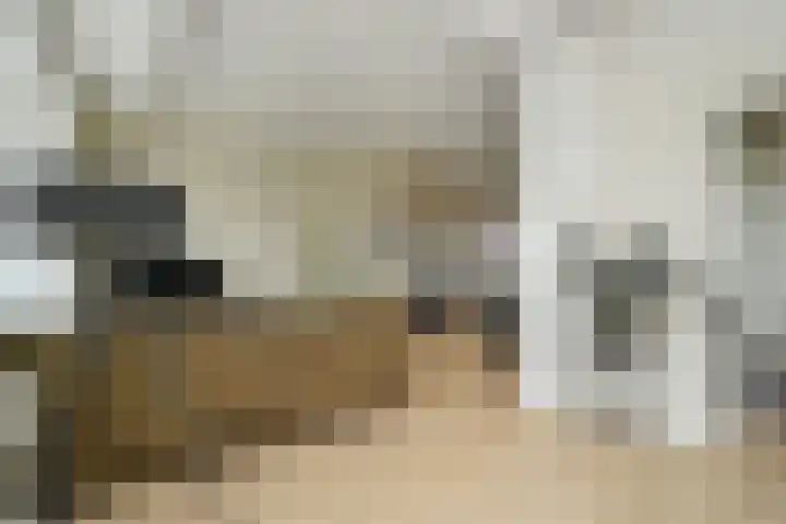 Laan van Meerdervoort 1414 Den Haag thumbnail 9