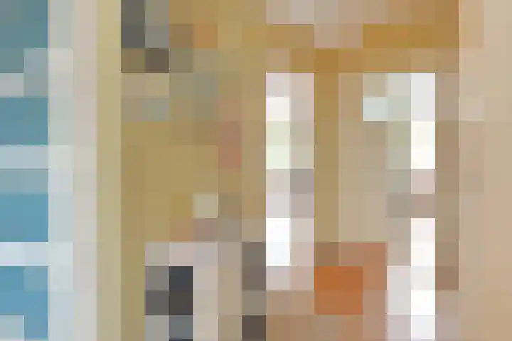 Laan van Meerdervoort 1415 Den Haag thumbnail 28
