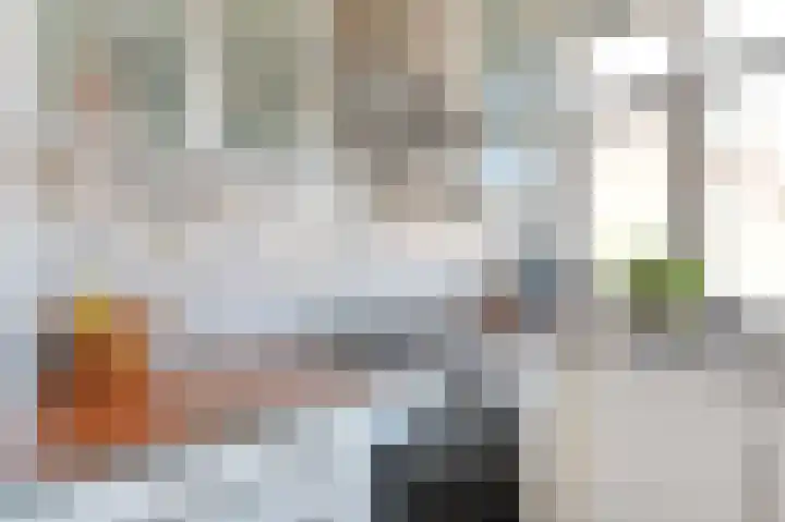 Laan van Meerdervoort 1415 Den Haag thumbnail 32