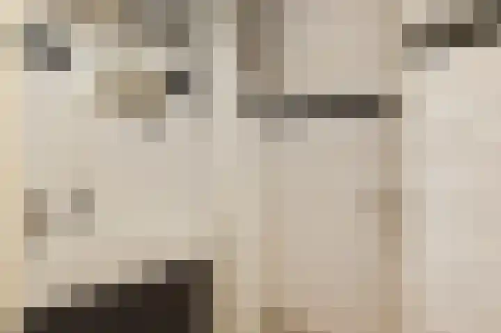 Laan van Meerdervoort 1415 Den Haag thumbnail 37