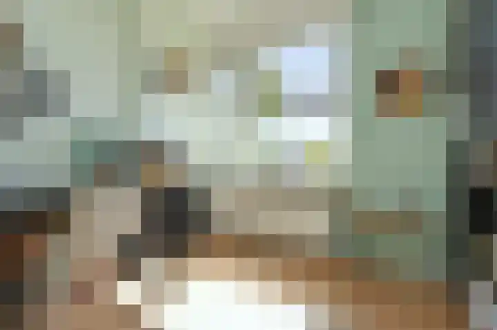 Laan van Meerdervoort 1415 Den Haag thumbnail 4