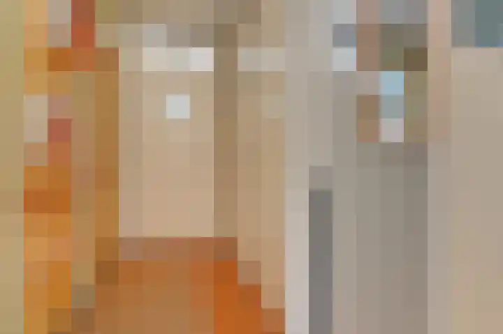Laan van Meerdervoort 1415 Den Haag thumbnail 41