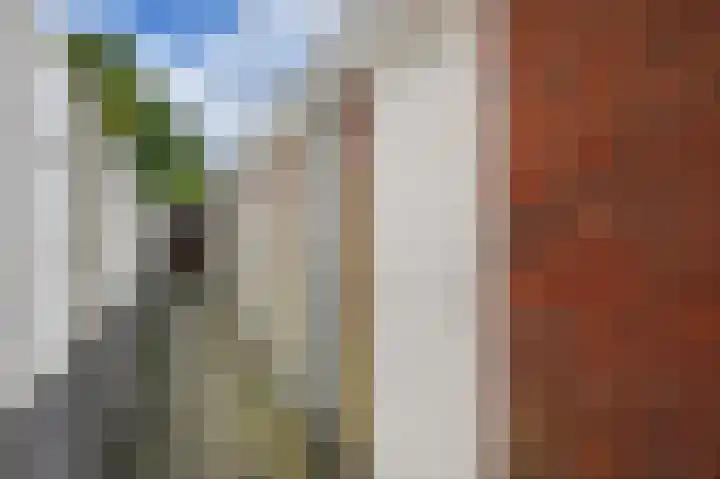 Laan van Meerdervoort 1415 Den Haag thumbnail 43