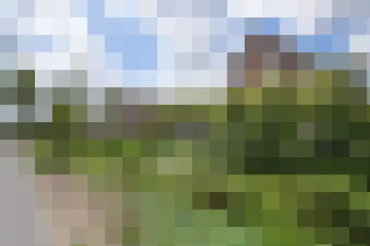Laan van Meerdervoort 1415 Den Haag thumbnail 44