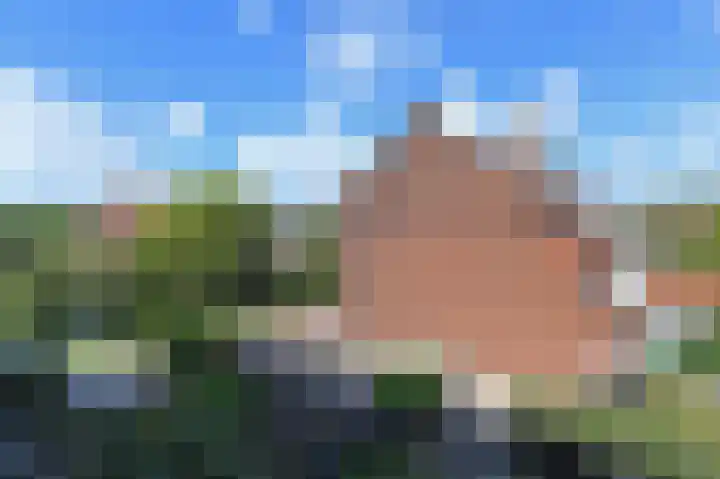 Laan van Meerdervoort 1415 Den Haag thumbnail 47