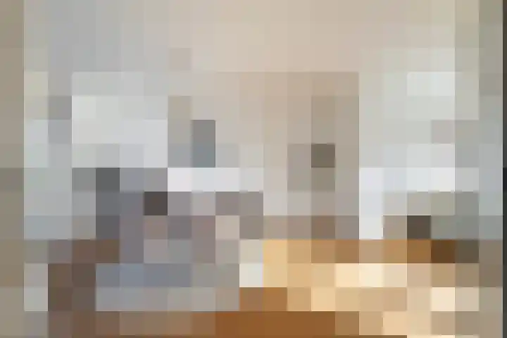 Laan van Meerdervoort 1419 Den Haag thumbnail 11