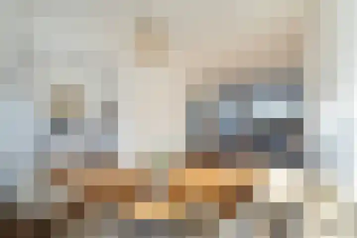 Laan van Meerdervoort 1419 Den Haag thumbnail 12