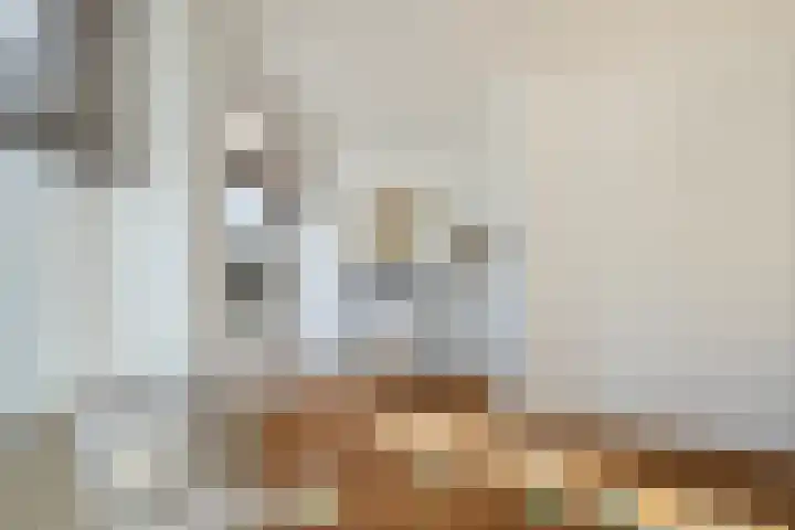 Laan van Meerdervoort 1419 Den Haag thumbnail 13