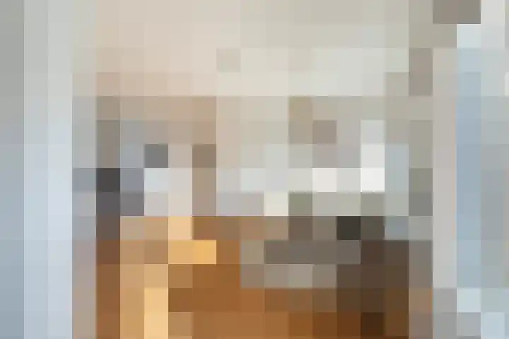 Laan van Meerdervoort 1419 Den Haag thumbnail 14