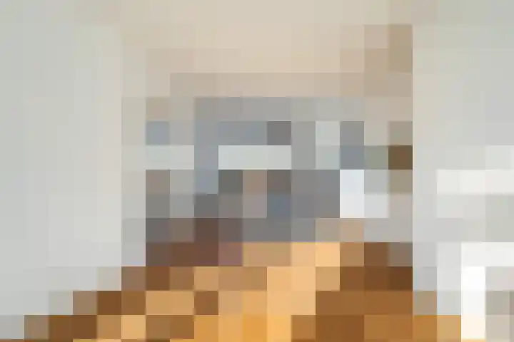Laan van Meerdervoort 1419 Den Haag thumbnail 18