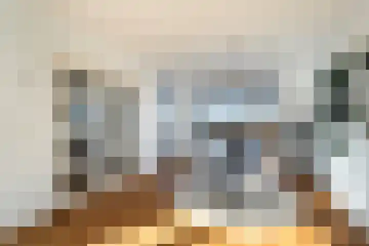 Laan van Meerdervoort 1419 Den Haag thumbnail 20