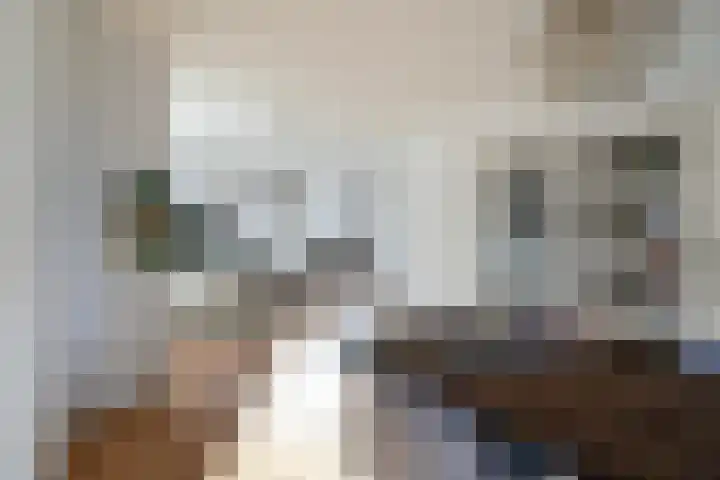 Laan van Meerdervoort 1419 Den Haag thumbnail 22