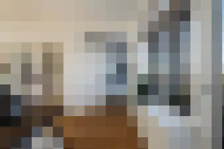 Laan van Meerdervoort 1419 Den Haag thumbnail 23