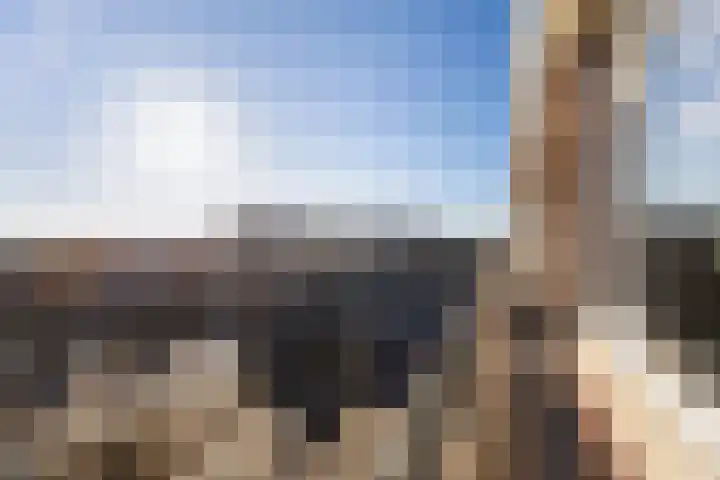 Laan van Meerdervoort 1419 Den Haag thumbnail 28