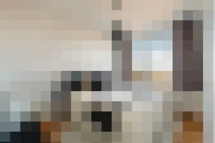 Laan van Meerdervoort 1419 Den Haag thumbnail 31