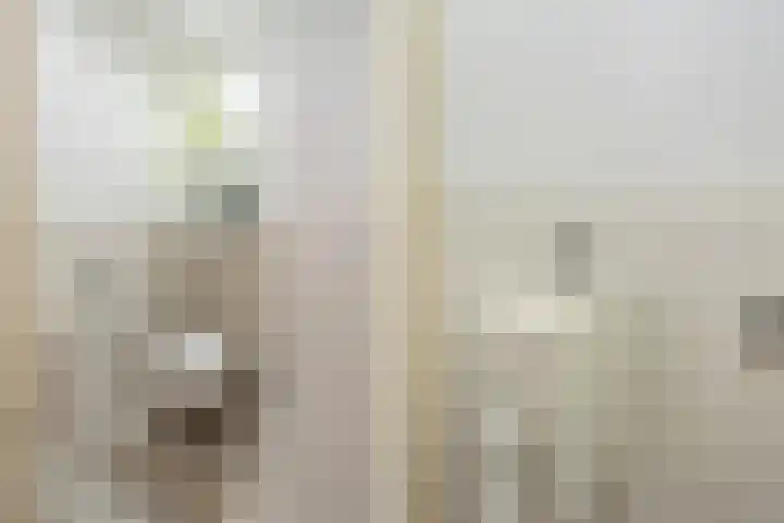 Laan van Meerdervoort 1419 Den Haag thumbnail 34